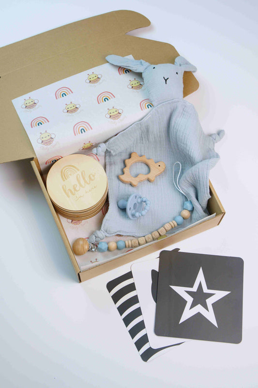 Newborn Gift Box - Wood Blue