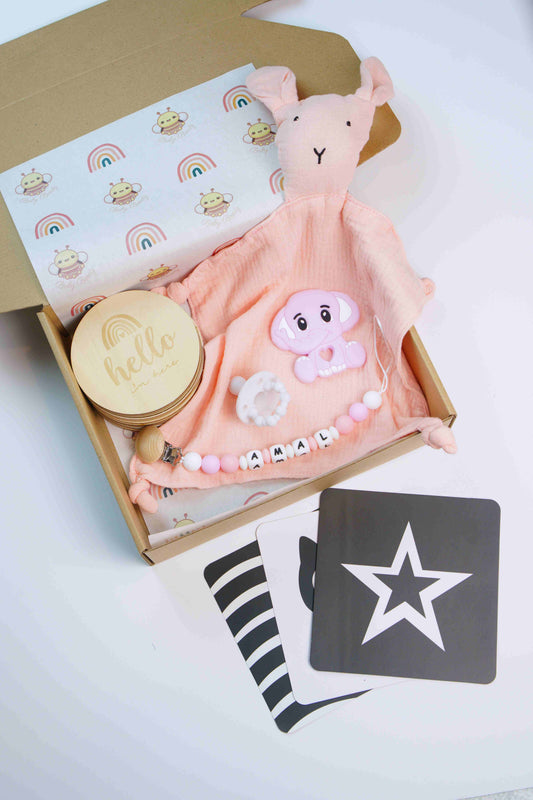 Newborn Gift Box - Pink Gradient