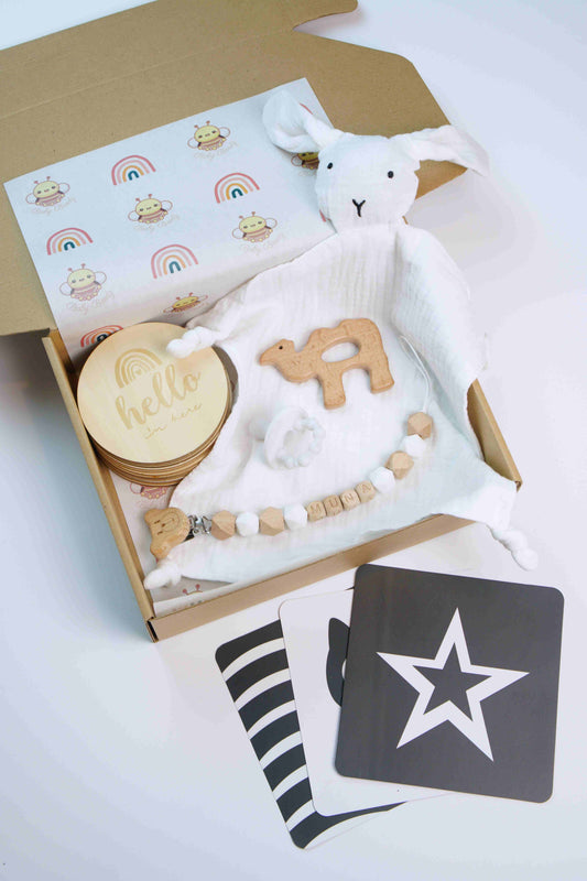 Newborn Gift Box - Neutral Hex