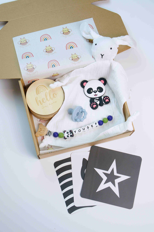 Newborn Gift Box - Blue & Green